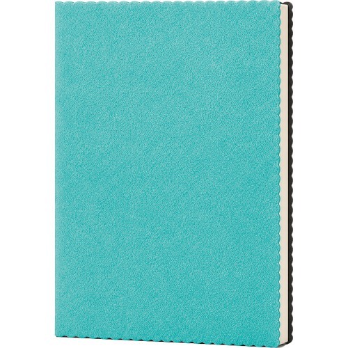 Erciyes-TRK Tarihsiz Defter