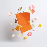 İstinye-S Tarihsiz Defter